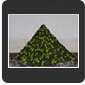 Watermelon Pyramid